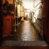 Finestrella di Via Piella (Bologna) A small window overlooking a canal in Bologna.