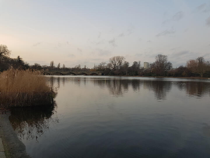 Discover The Serpentine: A Royal Retreat in London The Serpentine, London, UK